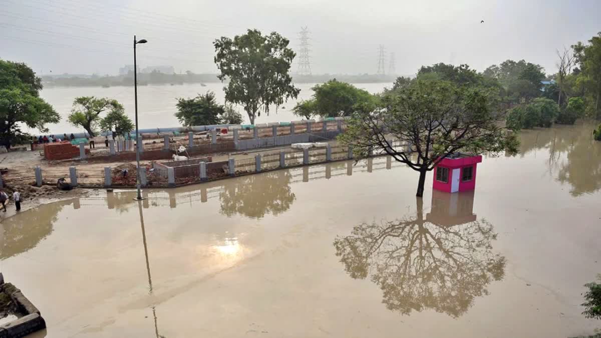 Delhi Flood  Yamuna  Yamuna water level  Yamuna water level receding in Delhi  National Capital  arguments between BJP and AAP starts  BJP  AAP  തലസ്ഥാനത്തിന് ആശ്വാസമായി  ജലനിരപ്പ് കുറയുന്നു  ജലനിരപ്പ്  എഎപി  ബിജെപി  വാക്‌പോര് കനക്കുന്നു  യമുന നദി  ആം ആദ്‌മി പാര്‍ട്ടി  ബിജെപി