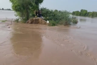There was a breach in the river near Sardulgarh of Mansa