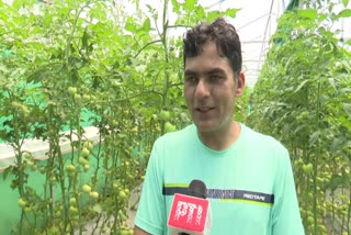 Budgam tomato farmer