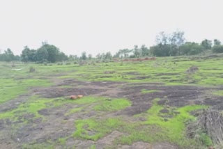 waste management plant in cheemeni kannur  waste management plant  kannur kayyur cheemeni  cheemeni waste plant  protest against cheemeni waste plant  ചീമേനി  cheemeni  ചീമേനിയിൽ ഖരമാലിന്യ സംഭരണ സംസ്‌കരണ പ്ലാന്‍റ്  ചീമേനി മാലിന്യ പ്ലാന്‍റ്  കയ്യൂർ ചീമേനി മാലിന്യ പ്ലാന്‍റിനെതിരെ നാട്ടുകാർ  കയ്യൂർ ചീമേനിയിൽ മാലിന്യ പ്ലാന്‍റിന് സർക്കാർ