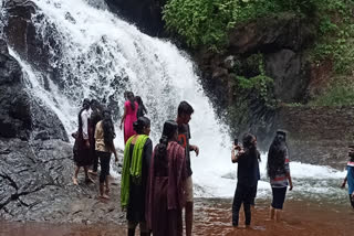 Harithirthakara Waterfall  Harithirthakara Waterfall Payyannur  Kannur Harithirthakara Waterfall  Harithirthakara  ഹരിതീര്‍ത്ഥക്കര  ഹരിതീര്‍ത്ഥക്കര വെള്ളച്ചാട്ടം  കാങ്കോല്‍ ആലപ്പടമ്പ  പയ്യന്നൂര്‍