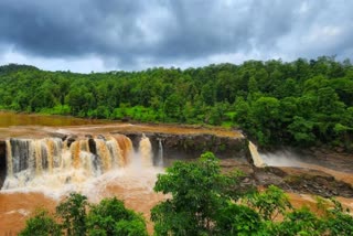 dang-tourism-dang-natural-sola-art-flourished-from-the-rains-creating-delightful-scenes-of-shivghat-falls