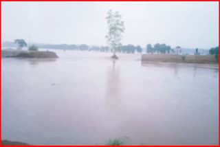 Fatehabad flood update