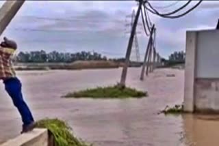 Floods in Punjab, submerged poles, power grids