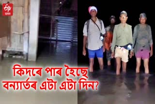 Floods and wild elephants in Majuli