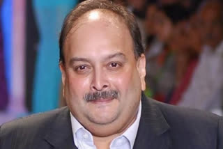 A special CBI court here on Saturday set aside a magistrate's order taking of cognisance of the chargesheet filed against fugitive diamantaire Mehul Choksi in a loan fraud case amounting to more than Rs 22 crore.