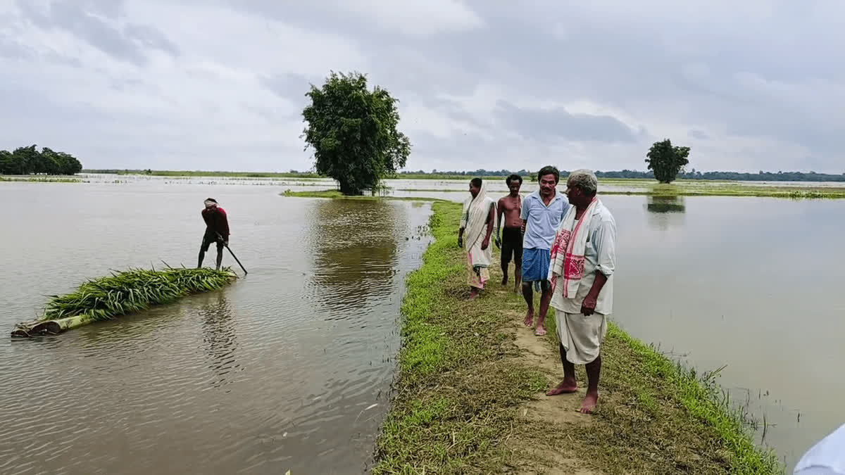 18 districts of Assam still submerged, death toll due to floods in the state rises to 93