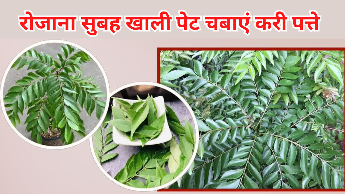 Health Benefits of Curry Leaves