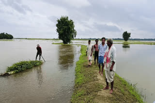 ASSAM FLOOD 2024