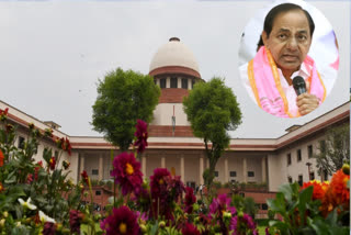 Hearing on KCR petition today