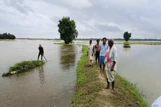 Assam Flood 2024