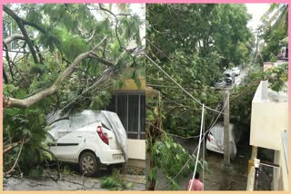 tree-branches-fell-on-car-due-to-heavy-rainfall-in-hubballi