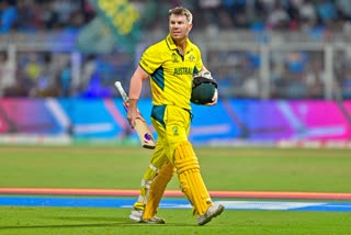 david warner