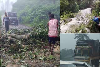 POWER CUT  TREE FELL ON THE ROAD  HEAVY RAIN  CHIKKAMAGALURU