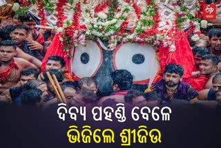 ପହଣ୍ଡି ବେଳେ ଭିଜିଲେ ବାହୁଡ଼ା ବ୍ରହ୍ମ