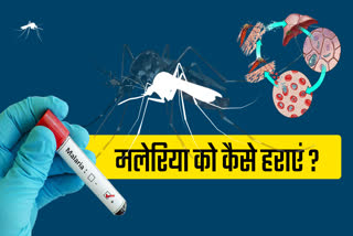 MALARIA DISEASE