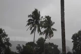 HEAVY WINDS  HEAVY WINDS ARE LIKELY IN KERALA  കനത്ത കാറ്റിന് സാധ്യത  WEATHER IN KERALA