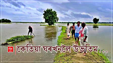 Assam flood report