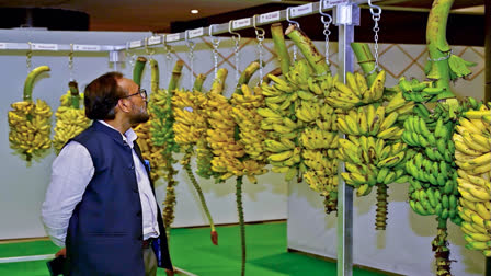 ICAR Foundation Day Celebrated To Highlight Agricultural Innovations