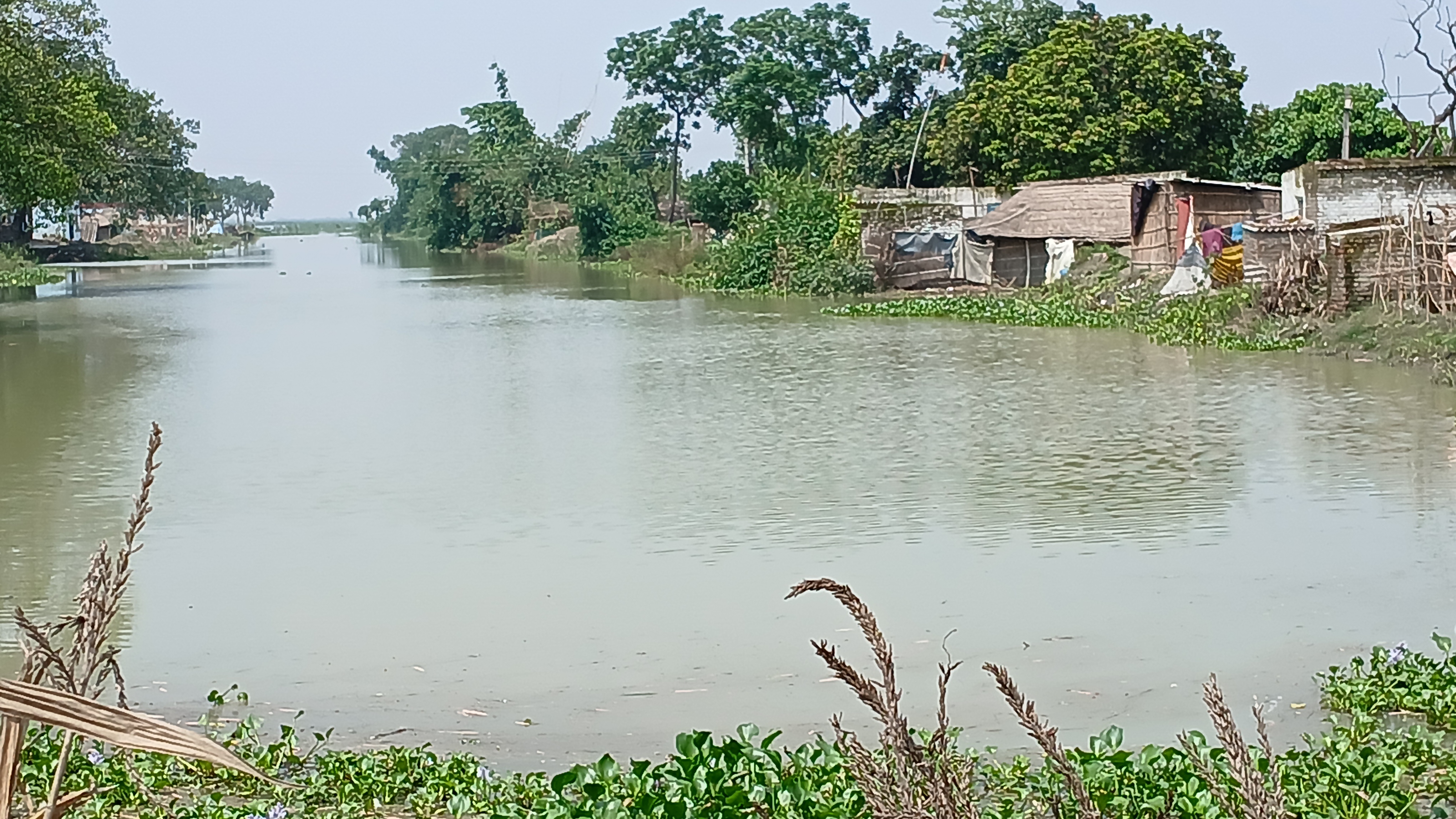 गंडक की चपेट में मेहंदिया गांव