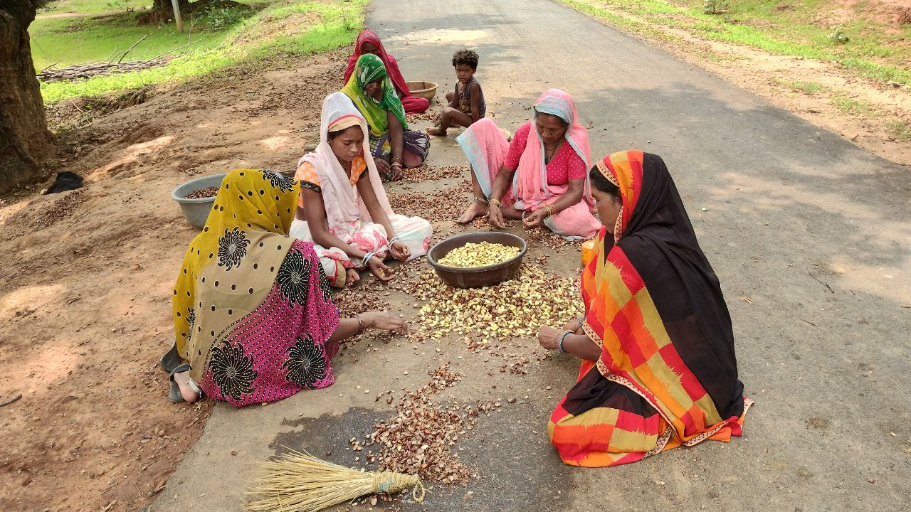 Mahua Decoticator Machine