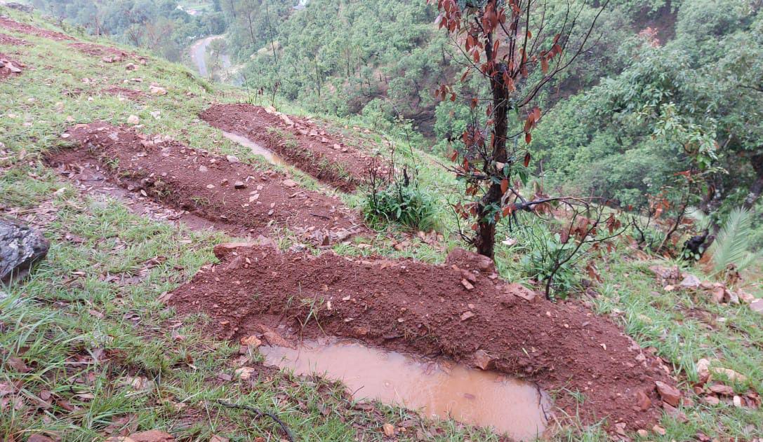 Rainwater harvesting by women