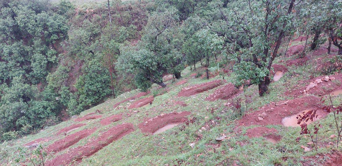 Rainwater harvesting by women