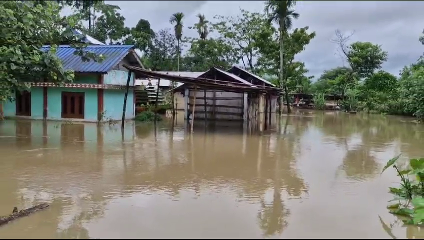 Assam Flood 2024