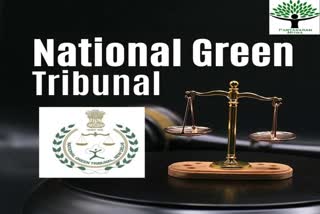 jabalpur PETITION FILED AGAINST COLLECTOR