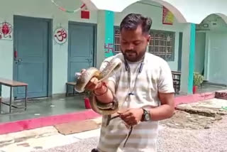 CHHATARPUR SNAKE IN HOSTEL