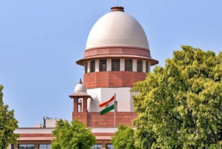 SC On Social Media Posts