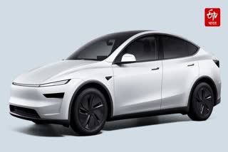 Tesla RWD and LR variants