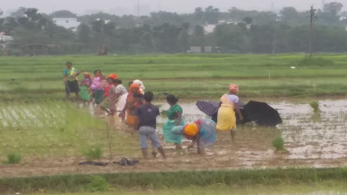 Drought assessment will be done in Jharkhand