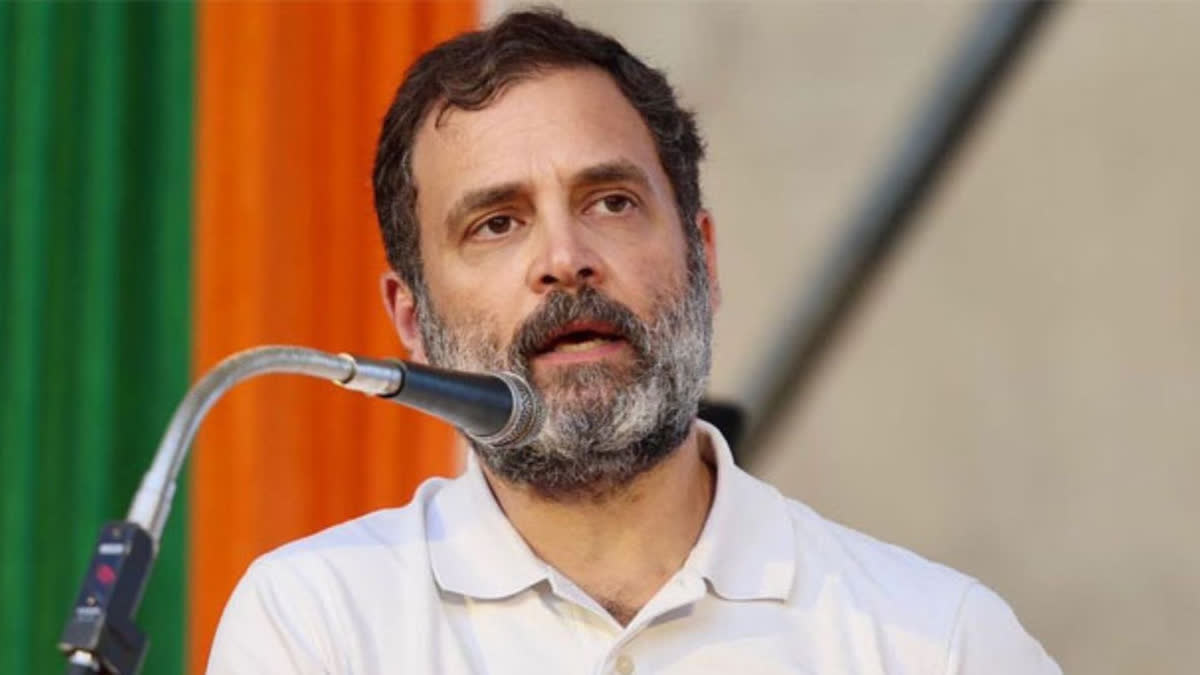 'Bharat Mata' is voice of every Indian: Rahul Gandhi on I-Day