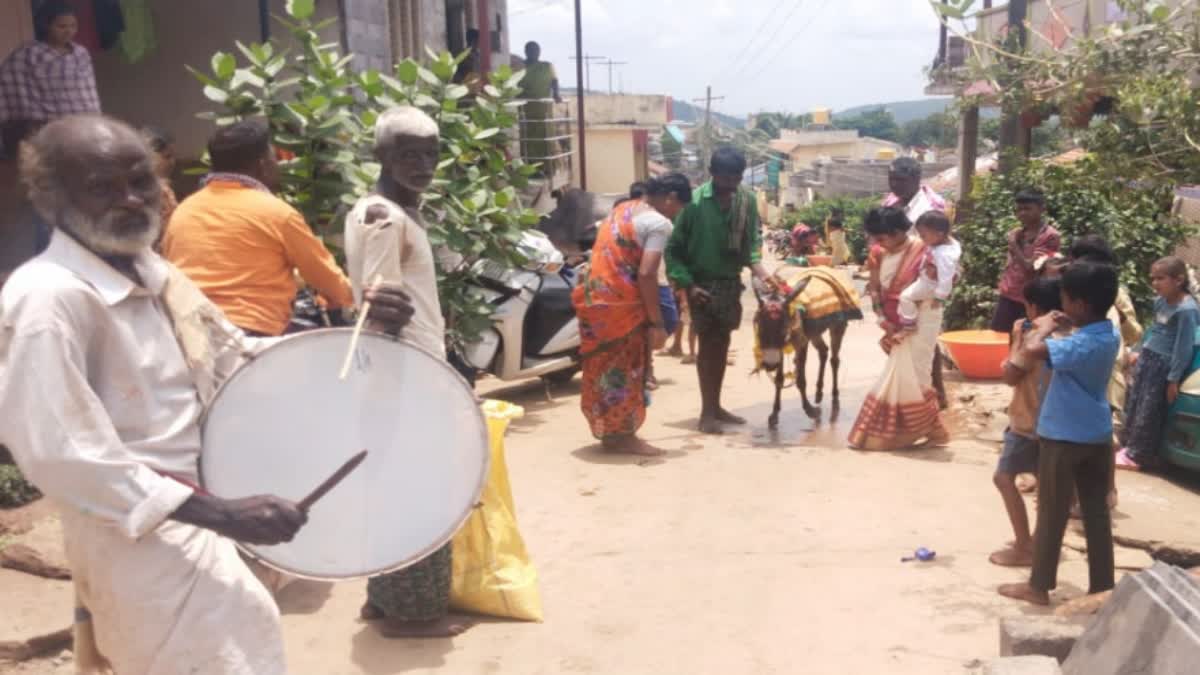 donkey procession