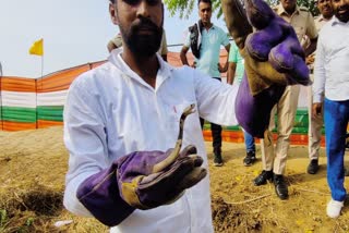 cobra in manohar lal program