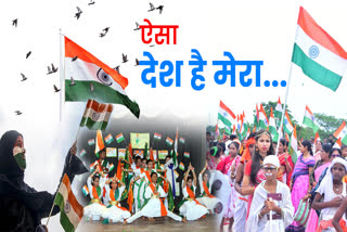 Indian Independence Day