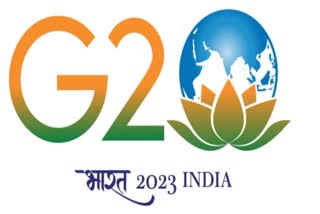 G20 Film Festival