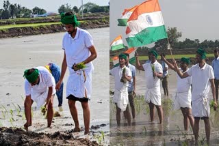 ರೈತರೊಂದಿಗೆ ಭತ್ತದ ಸಸಿ ನಾಟಿ ಮಾಡಿದ ಐಎಎಸ್ ಅಧಿಕಾರಿ