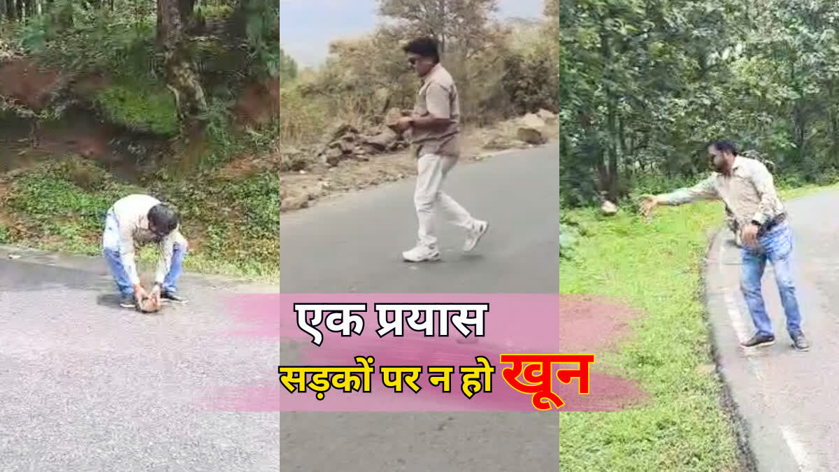 PICKING STONES LYING ON ROADS