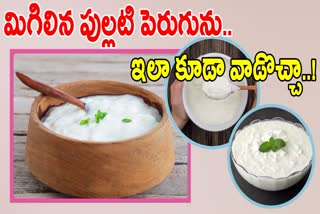 Different Ways To Use Leftover Curd