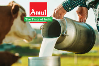 Milk Dairies to Amul