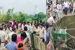 ALIRAJPUR LEOPARD FELL INTO WELL