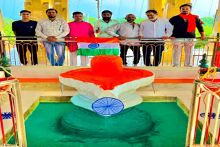 lord shiva  decorated in tricolour