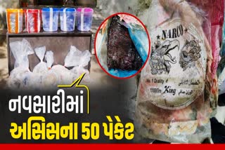 નવસારીથી કરોડો રૂપિયાનું ડ્રગ્સ ઝડપાયું