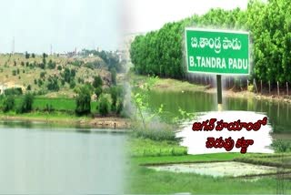 ysrcp_leaders_occupied_pond