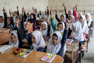 Taliban Have Deliberately Deprived 1.4 Million Afghan Girls of Schooling Through Bans, Says UNESCO