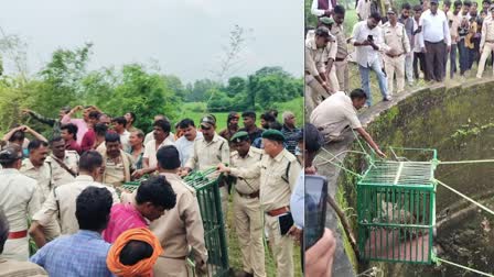 ALIRAJPUR LEOPARD FELL INTO WELL