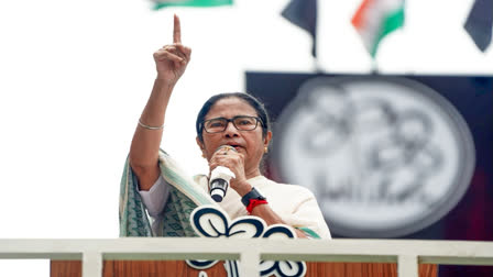 BJP Demands Mamata's Resignation, to Hold Candlelight Rally to Her Residence