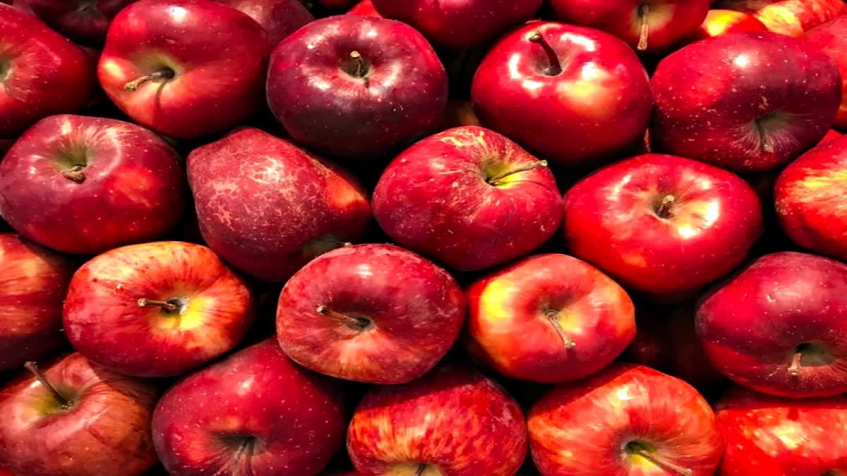 American Apple Import Duty